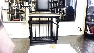 MissJuliaTaylor - Toilet Training Instruction