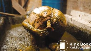 Cleaning ends in a mess - cowshit