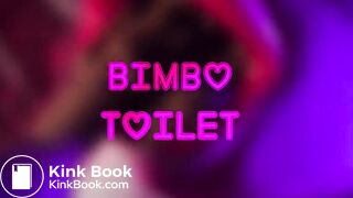 Bimbo Toilet and the caulk gun thingy
