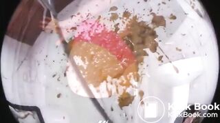 HrVjCwZCYYte3fDN