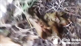Scat in the woods