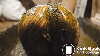 Manure Shower