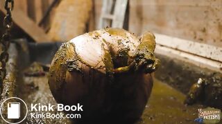 Manure Shower