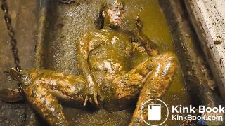 Manure Shower