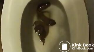 Skinny young girl takes a big shit in toilet