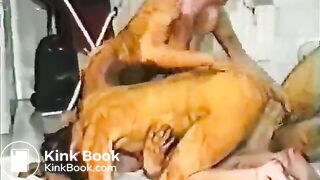Scat-orgy3