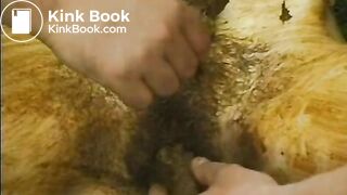 Backyard-Scat-Orgy-02