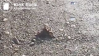 clip12