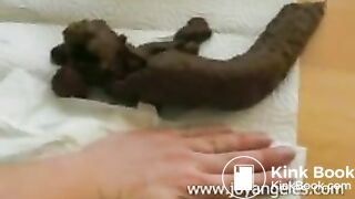 Big round ass babe shits on table