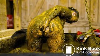 Inspector Betty showered with cowshit