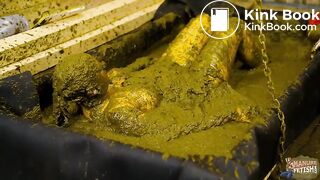 Inspector Betty showered with cowshit