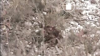 clip06