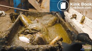 Frankys Time in the manure basin