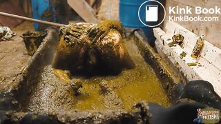 Frankys Time in the manure basin