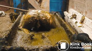 Frankys Time in the manure basin