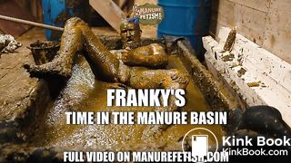Frankys Time in the manure basin