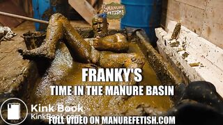 Frankys Time in the manure basin