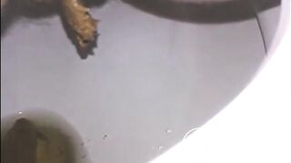 Woman shitting a long turd very slowly in the toilet