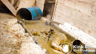 Dung Prison - pegging and fucking in cowshit