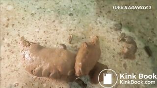 Smear Lick N' Shit Sucking