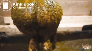 cleaningendsinamess-lyndralynn-lq