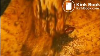 Lesbian-Scat-Girls-1-01