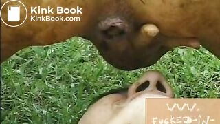 Extreme-Scat-Girls-4(1)