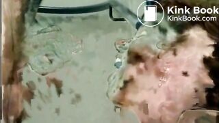 Ass-Scat-lick