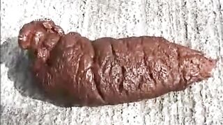 Quality Female Turds - Ultimate King David Mix (33 Scenes)