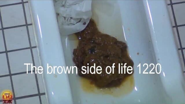 The brown side of life 1220
