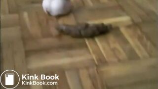 Dirty girl riding dildo and shitting