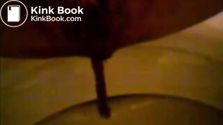 Girl shitting in the toilet and inserting dildo on her asshole