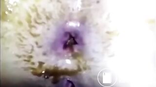 Scat fucking