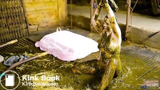 Farmer Girl Bettys messy mistake - bathing in cowshit