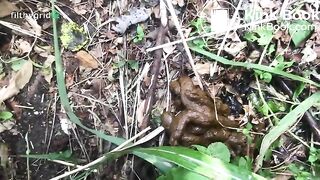 Big Booty Panties 24