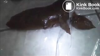 Quality Female Turds - Ultimate Ava Mix (8 Scenes)