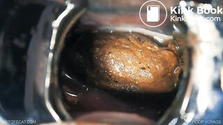 Poop Voyage - ArtOfScatcom