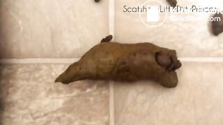 35xrytm75my7zge Video720p