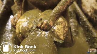 Lyndra and Franky double pleasure in cowshit