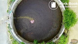 Lyndra Lynns Manure Pool swimming in cowshit