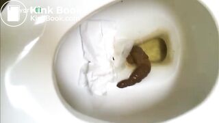 Dakota Dropping turds in Toilet