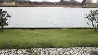 au bord de l'eau