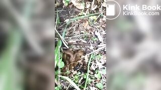 urgent appel de la nature