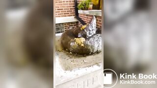 scat and piss everywhere