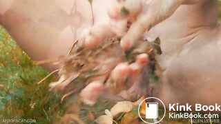 Fallen Leaves - ArtOfScatcom