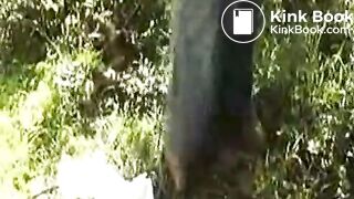 Joyangeles+ana+didovic+wood+pooping