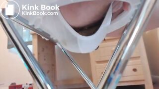 Potty Seat Shit 02