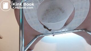 Potty Seat Shit 02