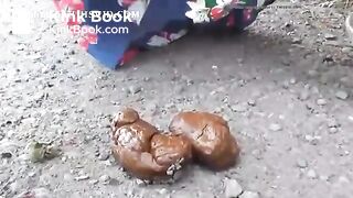 arrêt sur le chemin
