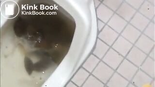 Broken toilet and pile of shit